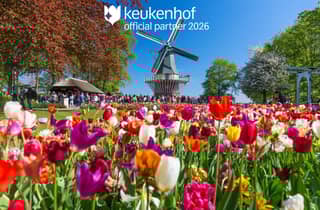 Amsterdam: Eintritt zum Keukenhof & Shuttlebus mit flexibler Rückfahrt