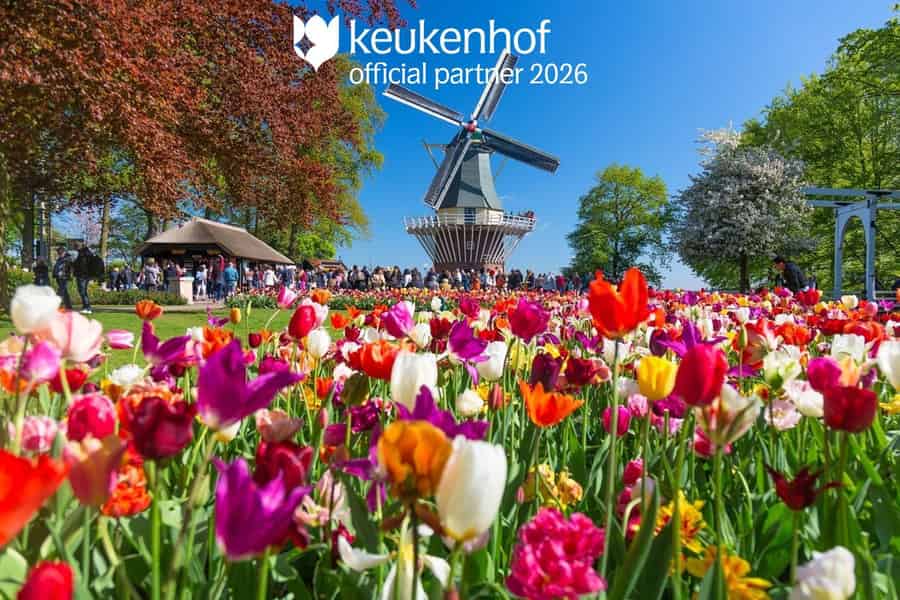 Amsterdam: Eintritt zum Keukenhof & Shuttlebus mit flexibler Rückfahrt. Foto: GetYourGuide