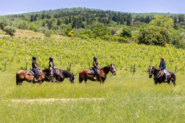 Florence: Horseback Riding Tour with Wine Tasting & Transfer