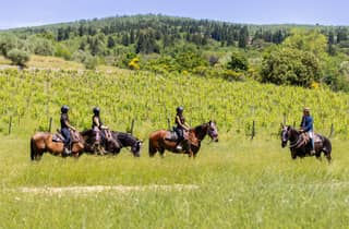 Florenz: Reittour mit Weinverkostung & Transfer