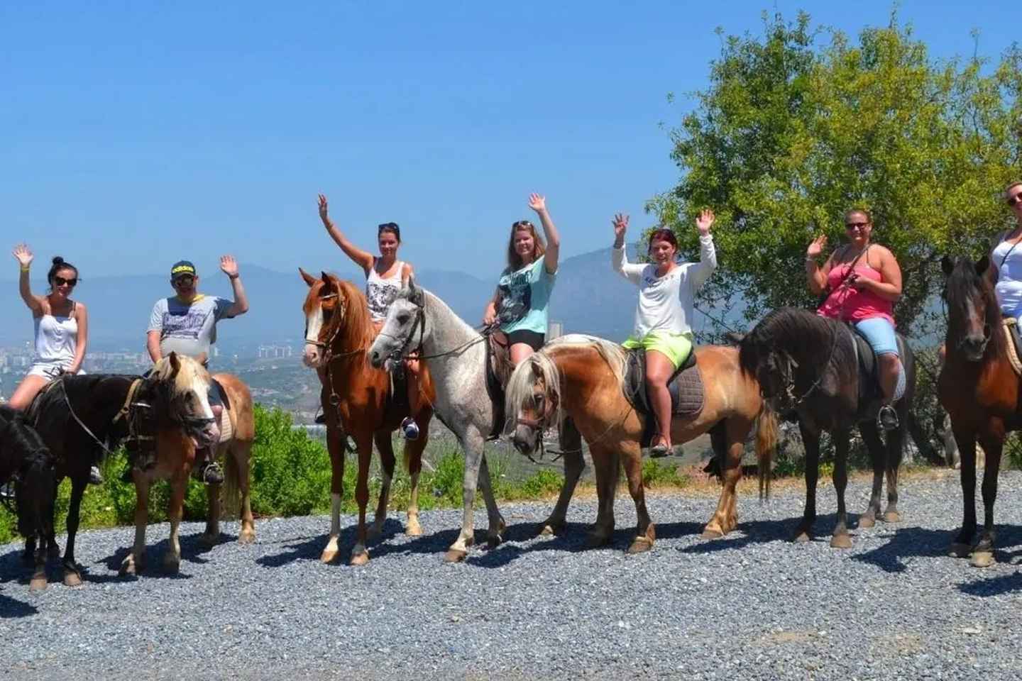 Alanya: Horse Riding Tour with Hotel Transfers