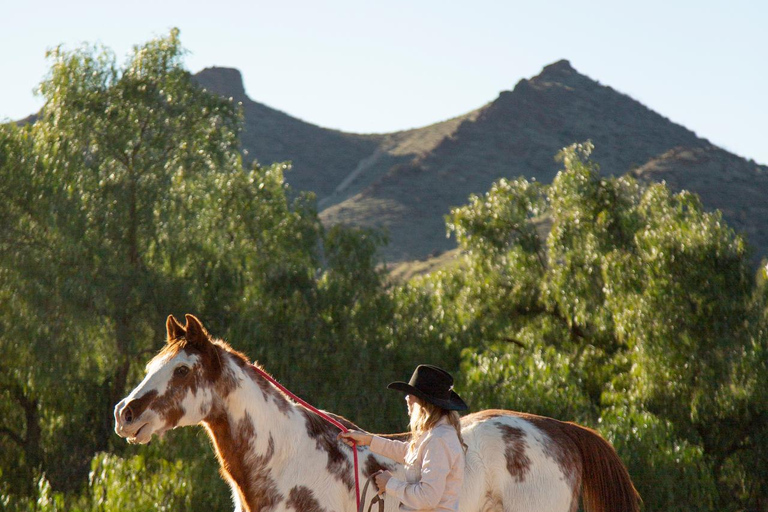 Quito: Full-Day Cotopaxi Horseback Tour & Volcano Views