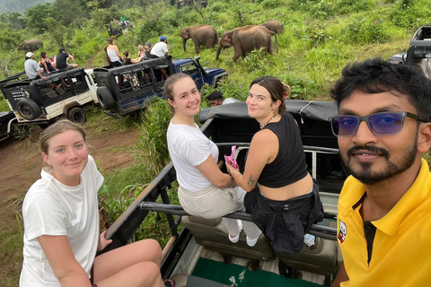 From Sigiriya/Habarana: Hurulu Eco Park Wild Elephant Safari From Sigiriya/Habarana: Minneriya /Kaudulla Elephant Safari