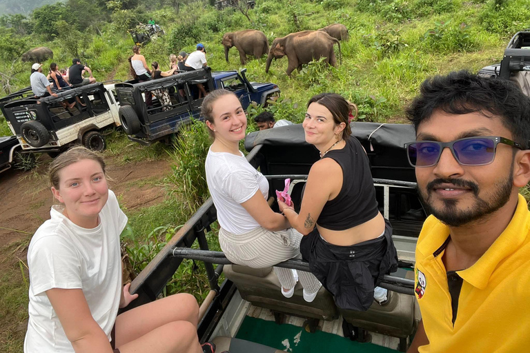 From Sigiriya/Habarana: Hurulu Eco Park Wild Elephant Safari From Sigiriya/Habarana: Minneriya /Kaudulla Elephant Safari