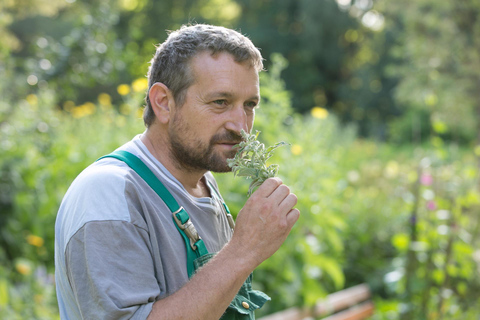 Bad Wörishofen: Herb TourNormalpreis