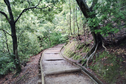 Nara: Hike Mt. Wakakusa and Encounter Wild Free-Roaming Deer