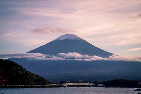 From Tokyo: Mount Fuji Full-Day Customizable & Private Tour Luxury MiniVan (1 upto 6)