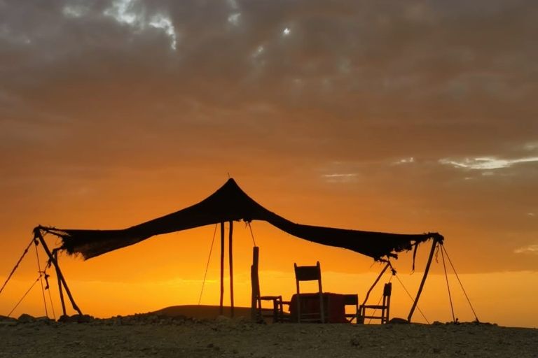 Dîner-spectacle et promenade à dos de chameau au coucher du soleil dans le désert d'Agafay