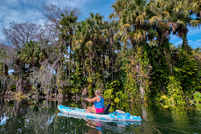 Orlando: Winter Park Paddle AdventureOrlando: Wycieczka na desce SUP w Winter Park