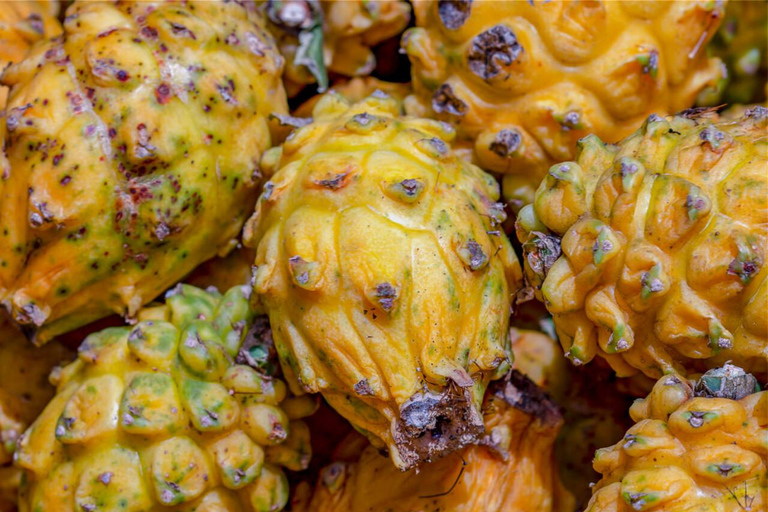 Tour gastronómico por Bogotá: frutas exóticas, mercado y almuerzo local