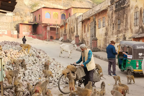 Découvrez Jaipur