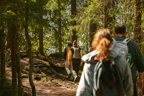 La spettacolare passeggiata di Holmenkollen