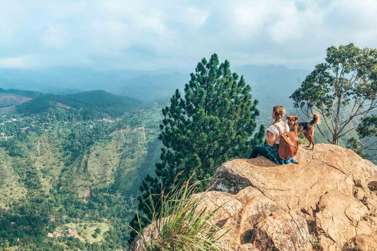 Depuis Galle/Hikkaduwa/Mirissa Excursion d'une journée pour découvrir Ella