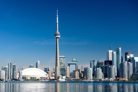 Toronto: Rundvandring i centrum Rundvandring i centrum med CN Tower och guidad kryssning