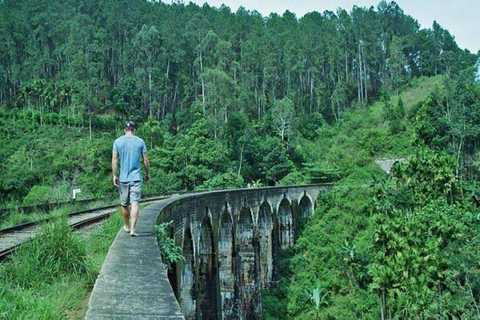 From Riu Hotel: Ella Tea Factory Tour with Scenic Train Ride