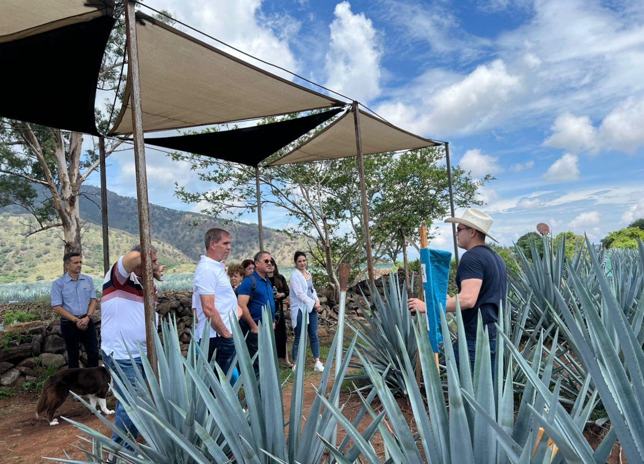 Premium-Tequila-Route mit professioneller Verkostung