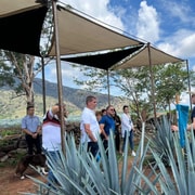 Premium Tequila Tour with a professional tasting