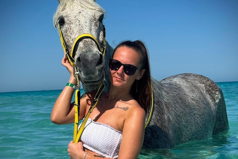 Hurghada: Swimming & Horse riding with FREE Photos & Videos 2-Hour Horse Swimming & Photos with Transfer