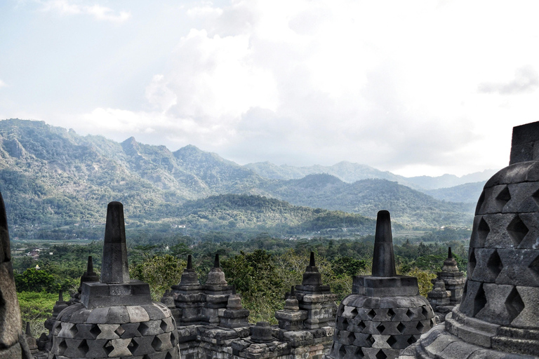Yogyakarta: Borobudur, Prambanan, and Luwak Coffee Discovery