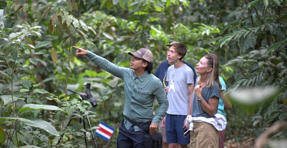 La Fortuna: Sloth & Wildlife Nature Walk