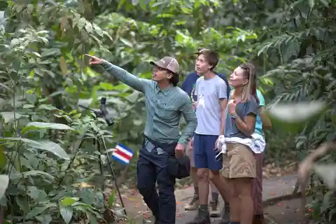 Sloth & Wildlife Nature Walk in La Fortuna