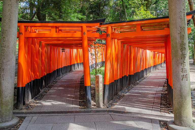 Osaka/Kyoto: Nara, Arashiyama, Fushimi Inari Taisha Day Tour Kyoto & Nara Day Tour | 8:00 AM from Osaka