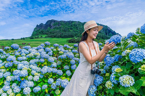 Jeju Island: East Jeju Summer Hydrangea Tour