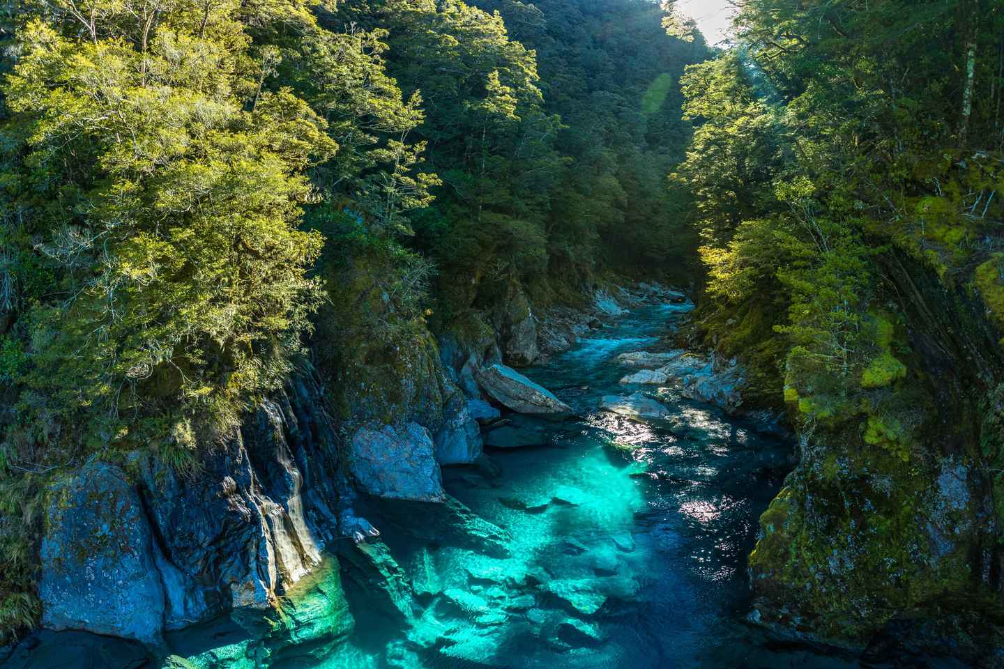 Blue Pools & Makarora Day Walk - Blue Pools & Makarora Day Walk