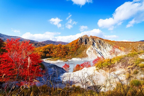 Noboribetsu: Tour di 1 giorno di Jigokudani e Toya da SapporoPiano standard