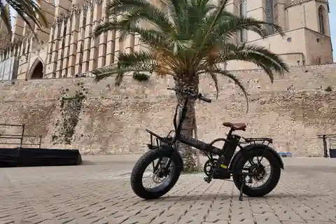 Palma: Exklusive City Highlights E-Bike Tour