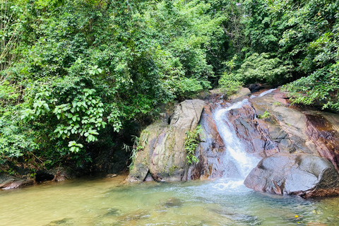 Khaolak : sanctuaire des éléphants avec centre de conservation des tortues