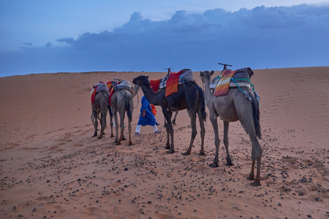 From Marrakech: 2-Day Sahara Desert Trip to Fes or Marrakech Back to Fes - Comfortable Luxury Private Tent