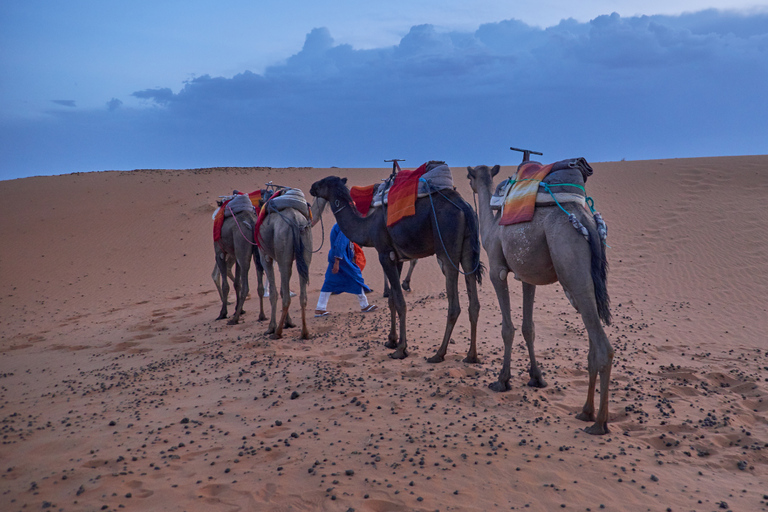 From Marrakech: 2-Day Sahara Desert Trip to Fes or Marrakech Back to Fes - Comfortable Luxury Private Tent