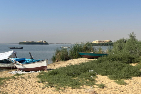 From Cairo: 4x4 Desert Safari, Waterfalls & Magic Lake Shared Tour: Wadi El Rayan, Magic Lake & Lake Qarun, Jeep