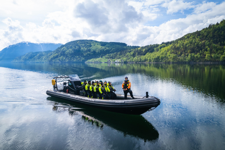 Avventura a Ulvik: Esplorare l&#039;Osafjord dell&#039;Hardangerfjord in gommoneUlvik: safari in RIB all&#039;Osafjord - un ramo dell&#039;Hardangerjord