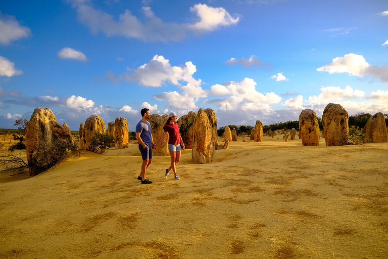 2 Day Pink Lake the Pinnacles &amp; Sand Dunes Coral Coast Tour