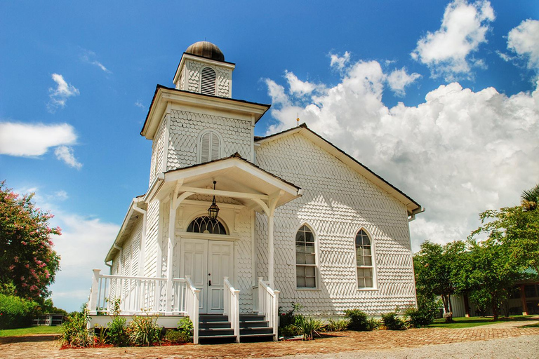 New Orleans: Swamp Boat Ride & Whitney Plantation Tour