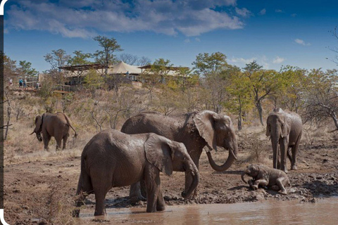 Victoria Falls: Through the eye of an elephant Highlights