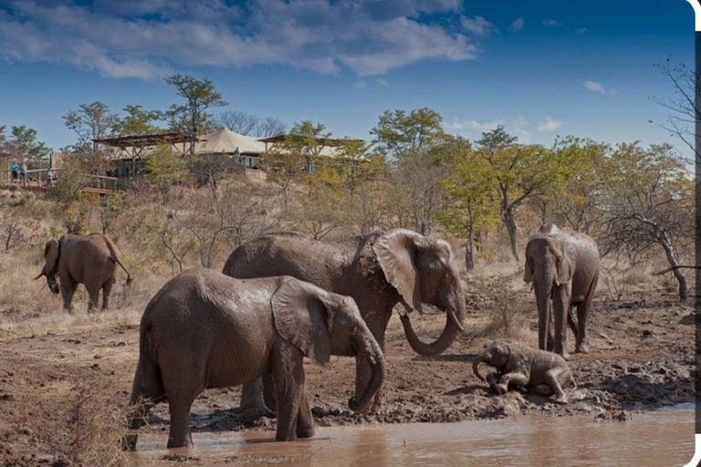 Victoria Falls: Through the eye of an elephant Highlights