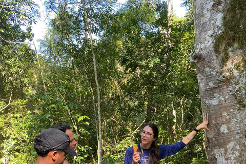 Hiking in Iguaçu National Park: A nature hike Trails in Iguaçu National Park: A hike through nature