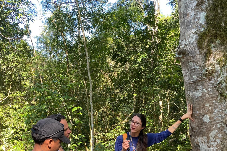 Hiking in Iguaçu National Park: A nature hike Trails in Iguaçu National Park: A hike through nature