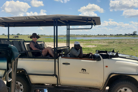 Excursión de un día completo a Chobe