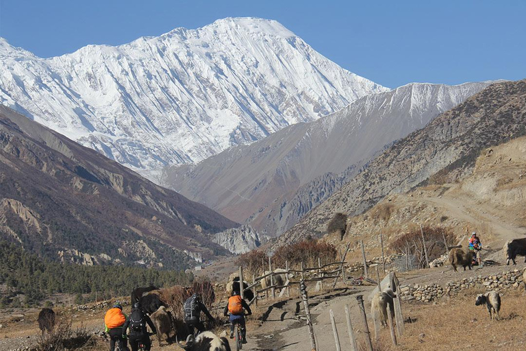 Da Kathmandu : Trekking breve di 5 giorni sul lago Tilicho