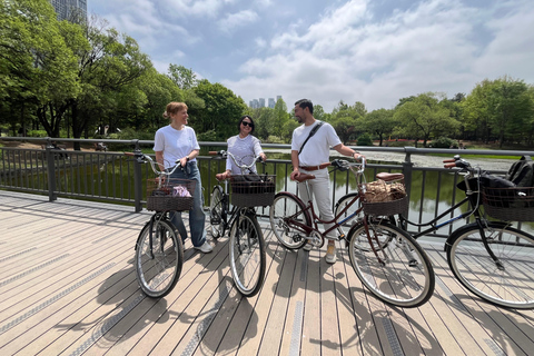 Seúl: Recorrido en Bicicleta por la Naturaleza Urbana del Río HanExcursión matinal en bicicleta