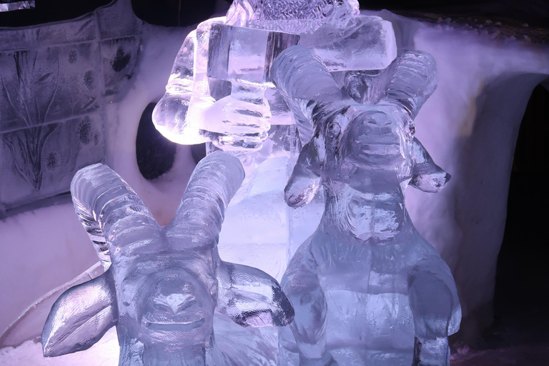 Lofoten: Magic Ice Bar Entry Ticket with Welcome Drink