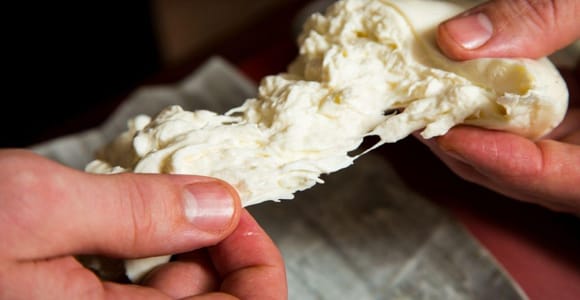 Florence: Mozzarella Making Workshop with Wine Tasting