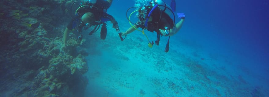Apprenez à plonger aux Maldives