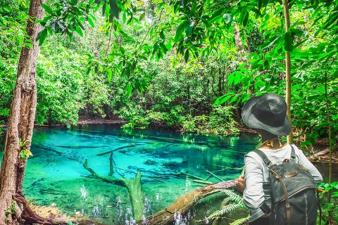 Krabi: Emerald Pool, Blue Pool and Tiger Cave Temple Tour