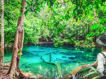 Krabi: Templo de la Cueva del Tigre, Piscina Esmeralda y Excursión a las Aguas Termales