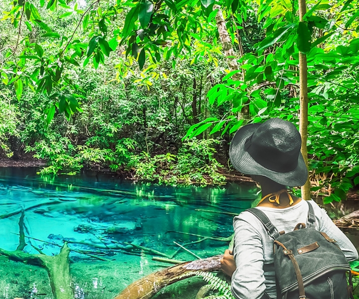 Krabi: Emerald Pool, Blue Pool ja Tiger Cave Temple Tour